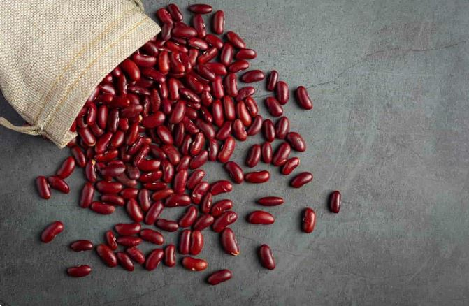 فراخوان خرید مقدار 1000 تن لوبیا قرمز از کشور قرقیزستان